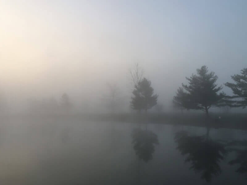 a thick cloud of tiny water droplets suspended in the atmosphere at or near the earth's surface which obscures or restricts visibility