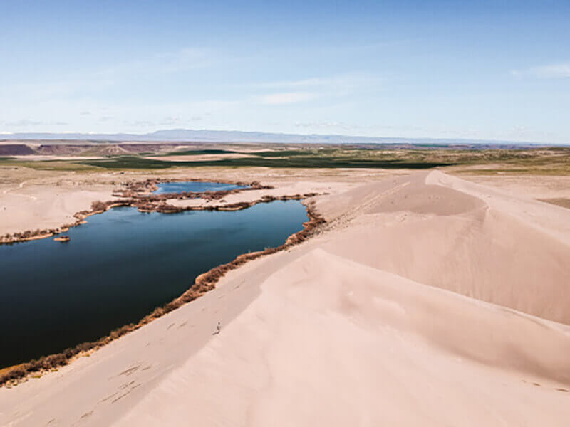 Oasis
